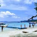 ELEPHANT BEACH
