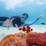 SNORKELLING