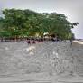 BHARATPUR BEACH